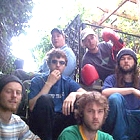 Foto de  The Bees