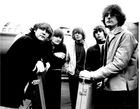 Picture of  The Byrds