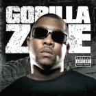 Picture of  Gorilla Zoe