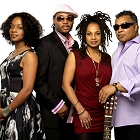 Picture of  Incognito