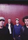 Picture of  Rogue Wave