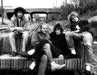 Picture of  The Replacements