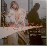 Family Affair [Maxi Single]