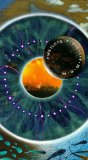 Pulse [Video/DVD]