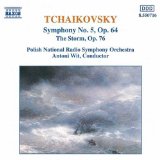 Symphony No. 5 / The Stor