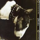 Here Comes Your Man [UK]