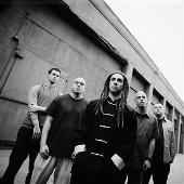 Insects (Live Acoustic)