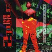 Strictly 4 My N.I.G.G.A.Z. (Explicit)