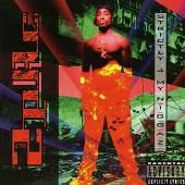 2Pac Album: «Strictly 4 My N.I.G.G.A.Z.»