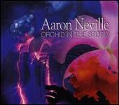 Orchid in the Storm [Bonus Tracks]