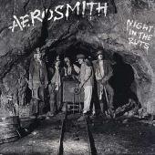 Night In The Ruts