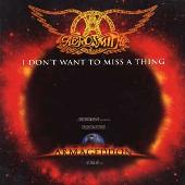 I Don't Want to Miss a Thing [US CD5/Cassette Single]