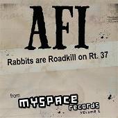 Rabbits Are Roadkill On Rt. 37
