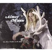 One More Drifter in the Snow