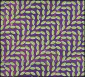 Merriweather Post Pavilion [Bonus Track]