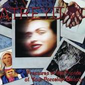 Fractures in the Facade of Your Porcelain Beauty