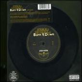 Burn It Down [Single Track]