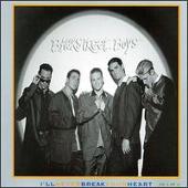 I'll Never Break Your Heart [Holland CD Single & Interview]
