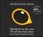 Blackbird on the Wire