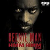 Hmm Hmm (Remix) (Explicit)