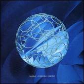 Possibly Maybe [UK CD #2]