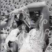 Vespertine [DualDisc]
