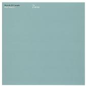 Peel Sessions