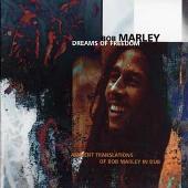 Dreams of Freedom: Ambient Translations of Bob Marley in Dub