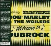 Welcome to Dub Rock
