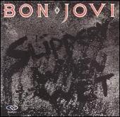 Slippery When Wet [DualDisc]