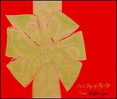 First Day of My Life