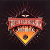 Bruce Springsteen Tribute