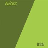 Inventory (Singles 1977-1981): What Do I Get?