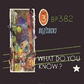 Inventory (Singles 1977-1981): What Do You Know?