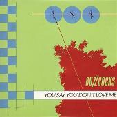 Inventory (Singles 1977-1981): You Say You Don't Love Me