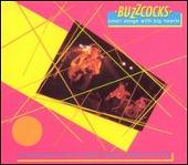 Small Songs with Big Hearts