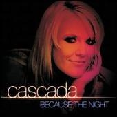 Because the Night