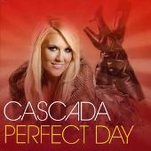 Perfect Day