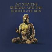 Buddha And The Chocolate Box