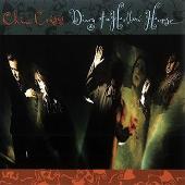 Diary Of A Hollow Horse (Bonus Track)