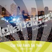 Lollapalooza: Clap Your Hands Say Yeah - August 4, 2007