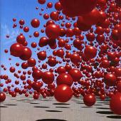 Wake Up and Smell the Coffee