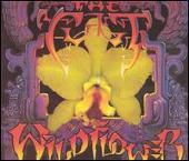 Wildflower [US]