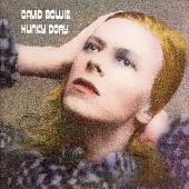 Hunky Dory