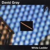 White Ladder