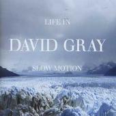 Life in Slow Motion