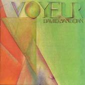 Voyeur