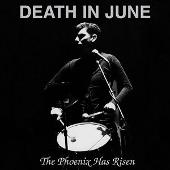 The Phoenix Has Risen