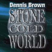 Stone Cold World