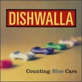 Counting Blue Cars